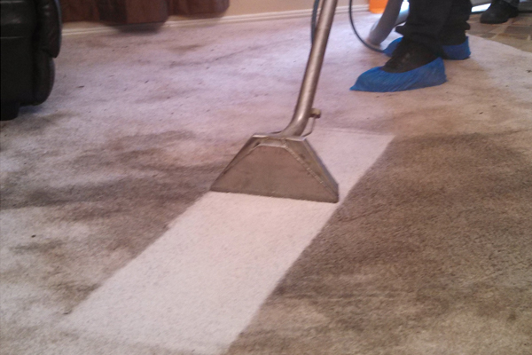 Carpet Cleaners Springfield Lakes